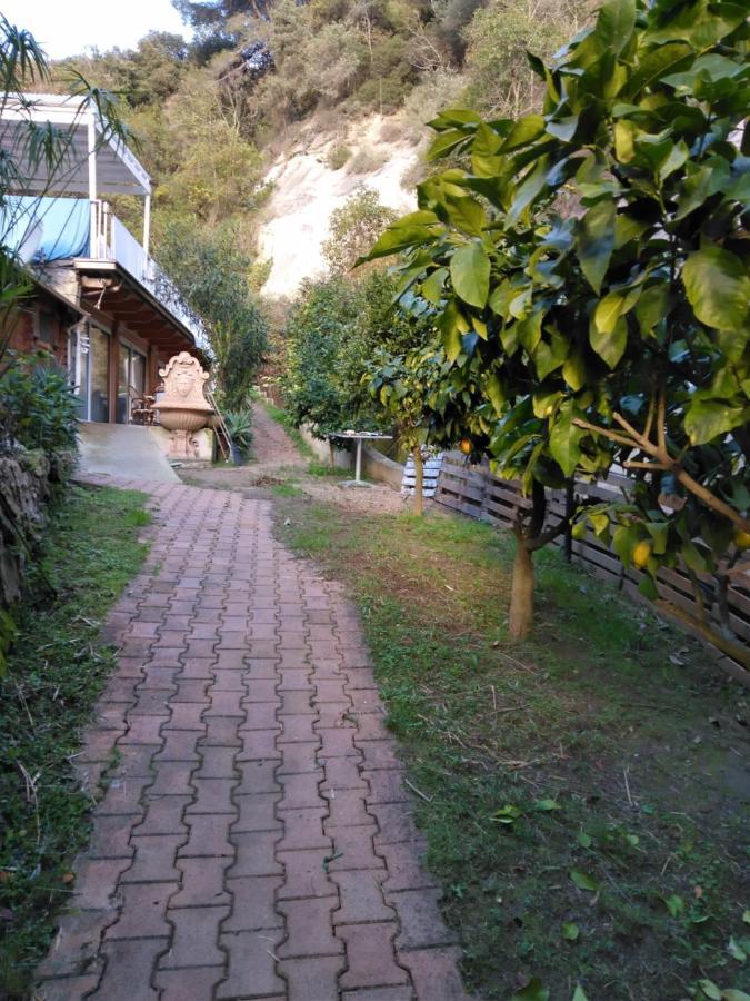 Oasis Villa Ментона Екстериор снимка